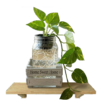 GreenRelax