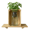 Mini-AcquaPonicWorld