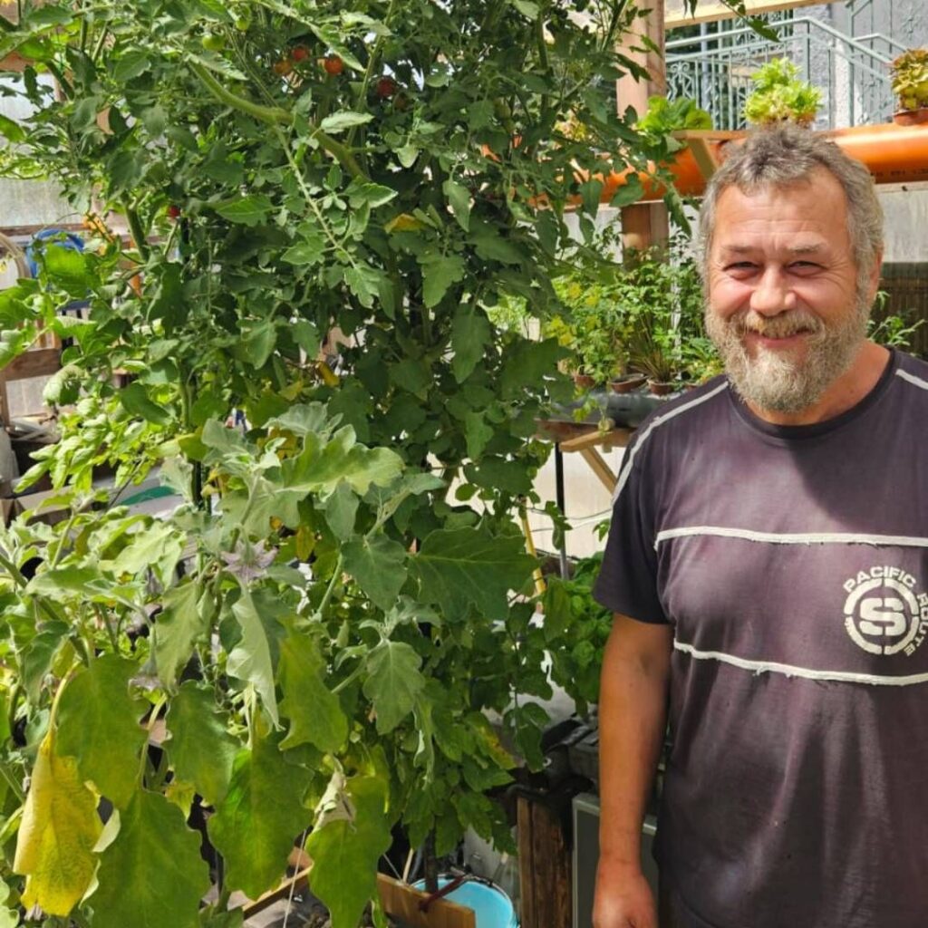 Stefano Virili accanto a una struttura idroponica GreenGrow con pomodori e altre piante in crescita